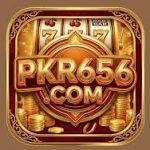pkr656 game apk download
