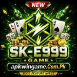 SK E999 Game