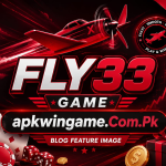 FLY33 Game