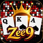 ZEE9 Game